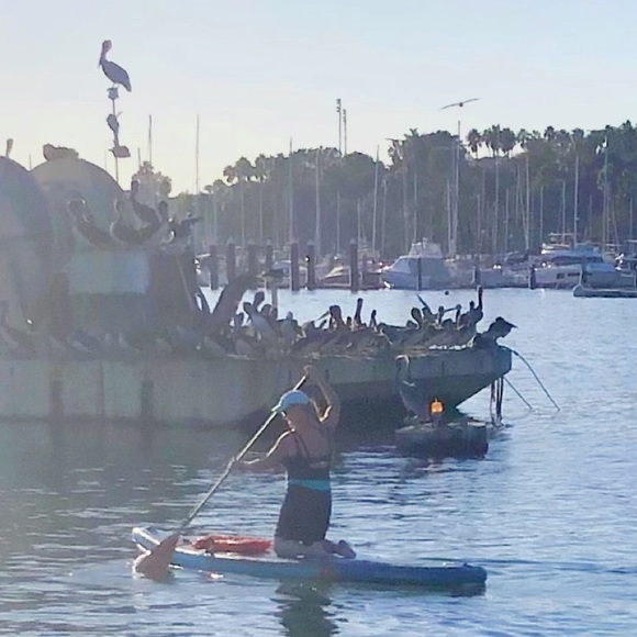 “ Salty Toes & Sandy Kisses” LISTING’s from the Sea! ✨Informational Post✨ - Picture 2 of 14